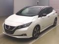 2019 Nissan Leaf
