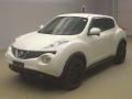 2012 Nissan JUKE