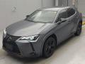 2021 Lexus UX