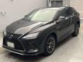2021 Lexus RX