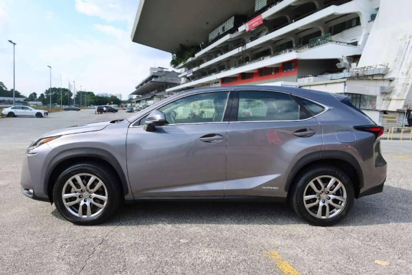 Used2014 AT Lexus NX Image[3]
