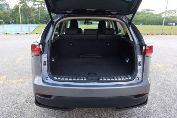 Used 2014 AT lexus nx null Image[8]