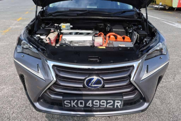 Used 2014 AT lexus nx null Image[18]