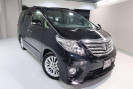 Toyota Alphard others