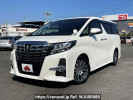 Toyota Alphard DBA-AGH30W