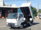 Isuzu Elf Truck NJR85AN