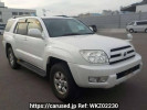 Toyota Hilux Surf TRN210W