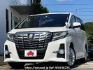 Toyota Alphard DBA-AGH30W