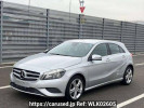 Mercedes Benz A-Class 176042