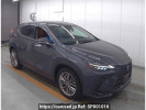 Lexus NX AAZH20