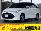 Toyota Estima Hybrid AHR20W