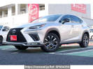 Lexus NX AYZ10