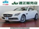 Mercedes Benz SLK Class 172448