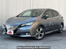 Nissan Leaf ZAA-ZE1