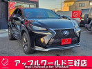 Lexus NX AYZ10