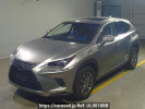 Lexus NX AYZ15