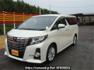 Toyota Alphard GGH30W