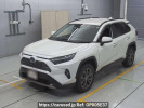 Toyota RAV4 AXAH54