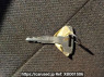 Used 1996 MT mitsubishi canter FE517B Image[34]