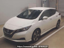 Nissan Leaf ZE1