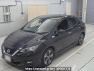 Nissan Leaf ZE1