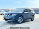 Nissan X-Trail others