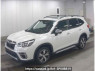 Used2019 AT Subaru Forester SKEImage[1]
