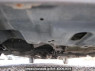 Used 2014 AT subaru trezia NCP120X Image[41]