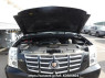 Used 2010 AT cadillac escalade UNKNOWN Image[7]