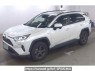 Used 2019 AT toyota rav4 AXAH52 Image[2]