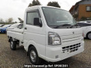Suzuki Carry Truck DA16T
