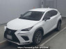 Used2021 AT Lexus NX AGZ10Image[0]