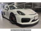 Porsche Cayman 981DBX