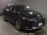 Used2019 AT Lexus RX AGL20WImage[2]