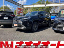 Toyota RAV4 AXAH54