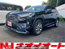 Toyota RAV4 MXAA54