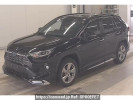 Toyota RAV4 AXAH54