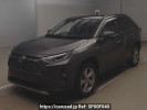 Toyota RAV4 AXAH54