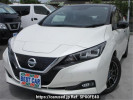 Nissan Leaf ZE1