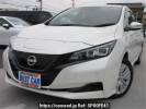 Nissan Leaf ZE1