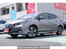 Nissan Leaf ZE1