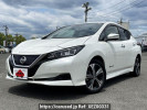 Nissan Leaf ZAA-ZE1
