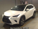 Lexus NX AYZ10