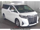 Toyota Alphard AGH30W