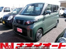 Nissan Roox B44A