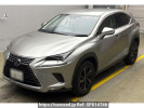Lexus NX AYZ10