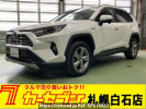 Toyota RAV4 AXAH54