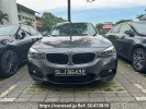 BMW 3 Series 320Li