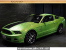 Ford Mustang フメイ