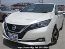 Nissan Leaf ZE1